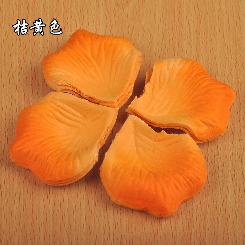 2813496233_1354842517