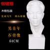 Retrato de cabeza de yeso de un joven y de mediana edad, estatua de yeso, material didáctico para jóvenes chinos, 54 cm, boceto artístico, bodegón, escultura, adornos