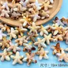 Cruz Acrílico Simulação Série Oceano Estrela-do-mar Concha Conchas diy Pulseira Pingente Brincos Acessórios de Joia