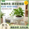 Cesta de Plantación Hidropónica Dividida Cultivo sin Tierra Bloques de Plántulas Kit de Enraizamiento de Plántulas para Balcón con Esponja de Plantación
