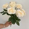 Manos de 7 Rosas de Diamante Ceremonias de Boda Auditorio de Bodas Base de Decoración de Fila de Flores Suaves Florero para Rosas Colocación de Flores