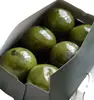 Caja de embalaje para bolas verdes al por mayor Caja fresca de artemisa paquete de bolas Caja para pastel de arroz glutinoso y frijol verde Qingming Caja con sello de cintura para hornear verde