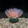 Suministros para Acuarios Tanque de Peces Rocalla Decoración de Paisajismo para Tanque de Peces Hierba Acuática Artificial Luminosa Hongo Hoja de Loto Decoración de Silicona