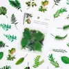 Adesivos Transparentes de Diário PET de Alto Valor Criativos Desenhos Animados Plantas Flores Personalidade Materiais Decorativos Adesivos Pequenos para DIY