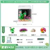 Tanque de Peces Sala de Estar Hogar Cambio de Agua Gratis Perezoso Oxigenado Pequeño Mediano Mini Paisajismo Creativo Acuario de Cristal Red Social