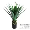 Simulação Planta Verde Bonsai Sisal Folha Grande Gladíolo Planta do Deserto Tropical Janela Paisagismo Decoração Planta Artificial Ponto