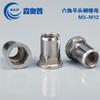 Tuerca remachable plana hexagonal de acero inoxidable 304 con cabeza avellanada y abertura interior y exterior M4M5M6M8M10M12