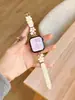 Adecuado para Apple Watch S11, Correa iWatch S10987Se de Metal y Cuero Flor de Cerezo