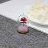 Collar de la Rosa del Principito, Varios Estilos de Collares de Rosa, Colgantes de Joyería con Cubierta de Cristal, Moderno