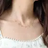 Collar Minimalista Floral Europeo y Americano Estilo Fresco Mariposa Acero de Titanio para Mujer, Versátil de Moda Hoja Temperamento Rayo Gargantilla Clavícula