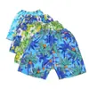 Pantalones Cortos de Playa Baratos de Comercio Exterior para Hombre, Talla Grande de Secado Rápido Sueltos Delgados de Cinco Puntos para Hombre, Pantalones Cortos Deportivos Casuales con Estampado