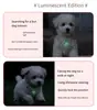 Luz de noite estilo novo contas de ametista pingente de coração colar gato e cachorro pequenos acessório simples universal multicolorido ajustável