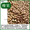 Materiais medicinais chineses Bolota Bolota Bolota Fruto do Carvalho Bolota Fruto do Carvalho Castanho Zuozi Qinggangzi Tigela de Sabão