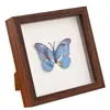 Marco de fotos de vidrio tridimensional hueco, marco para especímenes de mariposa DIY, marco para fotos de flores secas, marco de fotos de mesa, marco de especímenes hueco en stock