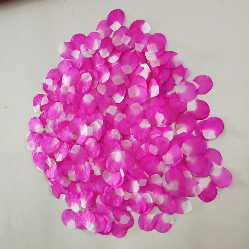 IMG_20180924_130508_副本