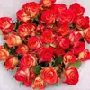 Dropshipping Plántulas de Rosa Multicabezal Burbuja de Alicia Flores de Rosa en Maceta Plantas Trepadoras Árbol Plantas Verdes