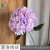 Hortensia Charlotte Tallo Único Diámetro Extra Grande Fondo de Boda para Hortensias Pared de Flores Flor de Seda Accesorio de Fotografía Flor Artificial Decorativa