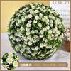 Bolas de Grama Artificial, Bolas de Flores, Decorações de Teto para Shoppings e Hotéis, Decoração de Casa, Bolas de Plantas Verdes Penduradas, Vitrines, Eucalipto Artificial de Alta Qualidade
