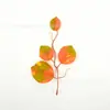Exquisita Planta Verde Artificial con 4 Ramas y Hojas de Dinero, Arreglo Floral Navideño DIY Corona, Decoración de Colores de Primavera y Otoño, Modelo Más Vendido