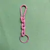 Série de cores de verão Mosquetão Acrílico Corrente Colorida Chaveiro Pingente Pingente de Bolsa Anel de Carro Gancho Ornamento Atacado