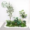 Paisajismo de Plantas Verdes Paisajismo de Balcones Decoración de Plantas Artificiales para Interiores y Exteriores Planta Viajera Plátano Espalda de Tortuga Planta Debajo de las Escaleras Paisajismo