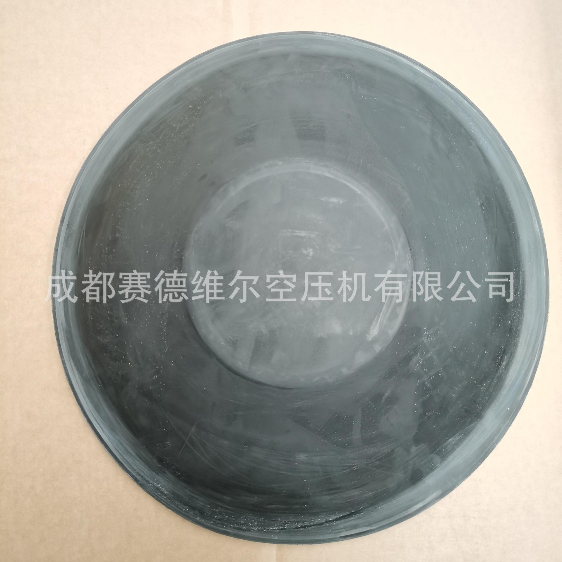 1621166300膜片 (1)