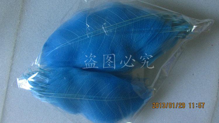 A027橡胶叶脉(37)