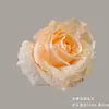 Flores Artificiales Champagne, Rosas y Hortensias Realistas de Alta Gama, Venta al por Mayor para Decoración de Bodas, Materiales DIY para Arte Floral