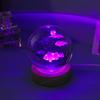Série Animais Marinhos Gravados Internamente em 3D Bola de Cristal com Luz Colorida Luz Noturna com Base Luminosa, Presente de Feriado e Lembrança