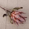 Flor de Emperador Artificial, Flor de Princesa Sudafricana, Arte Floral Decorativo, Arreglo Floral Eterno, Ramo de Compromiso al por Mayor, Flores Artificiales para Comercio Transfronterizo