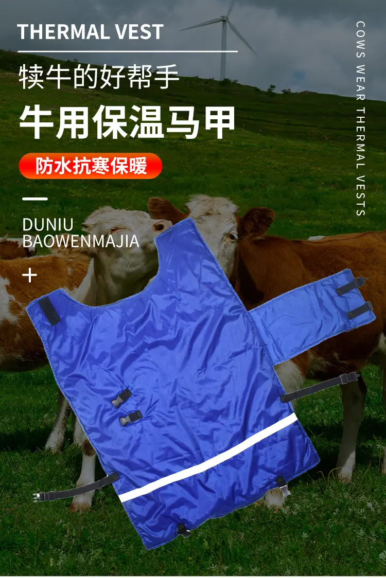 详情4_01.jpg