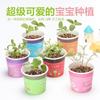 Creativo DIY Maceta Escritorio de Oficina Micro Escena Mini Plantas Lindas Macetas Pequeño Bonsái Semillas de Planta Ecológica