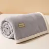 Manta de terciopelo de leche invierno terciopelo coral dormitorio estudiantil manta pequeña oficina siesta sofá cubierta de manta para cama