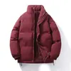 Ventas Directas de Fábrica Aoleige Moda Casual Nueva Invierno 2025 Gruesa Cuello Alto Corta Algodón Cálida Chaqueta