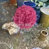 Simulação de Casamento Série Vermelho Rosa Decoração de Banquete de Casamento de Nicho Fileira de Flores para Cabeceira de Cama Layout de Decoração de Casa Flores Artificiais