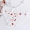 Ropa interior sexy transparente con estampado floral para mujer, bragas de encaje transpirables de cintura baja, suministro del fabricante.