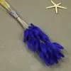 Flores Secas, Cola de Conejo, 60 Piezas/Manojo, Ramo de Lujo Ligero, Adornos de Flores Reales, Pequeño Ramo de Flores Eternas Regalo, Materiales de Flores Reales