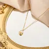 2024 Novo Aço Titânio Cor-retendo Elegante Luz Luxo Ins Estilo Requintado Concha Aocado Colar Melhor Amigo Clavícula Corrente