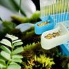Bebedero para hámster se puede colgar bebedero para jaula utensilios para beber para mascotas pequeñas tetera con bola de acero inoxidable alimentador de agua a prueba de fugas