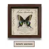 Porta-Retrato com Foto de Espécime de Borboleta Real Moldura de Madeira Pintura Decorativa DIY Porta-Retrato Retrô Decoração de Mesa Móvel Presente de Aniversário