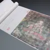 Guia do Iniciante para Caligrafia: Caderno de Prática para Caligrafia com Pincel com Caracteres Chineses Tradicionais