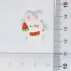 Desenho Animado Fruta Brilhante Animal Gato Coelho Porco Cachorrinho Grampo Elástico Pegador DIY Cola de Creme Acessórios de Resina