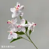 Orquídea Artificial Orquídea Gama Alta 5 Cabezas Phalaenopsis Decoración de Salón de Bodas Accesorios para Fotografía Ventana Flores de Año Nuevo