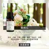 Fabricante de Fuente de Aromaterapia Aceite Esencial de Aromaterapia Soluble en Agua 10 ml Fragancia Vegetal L Difusor Ambientador Máquina de Aromaterapia Aceite Esencial