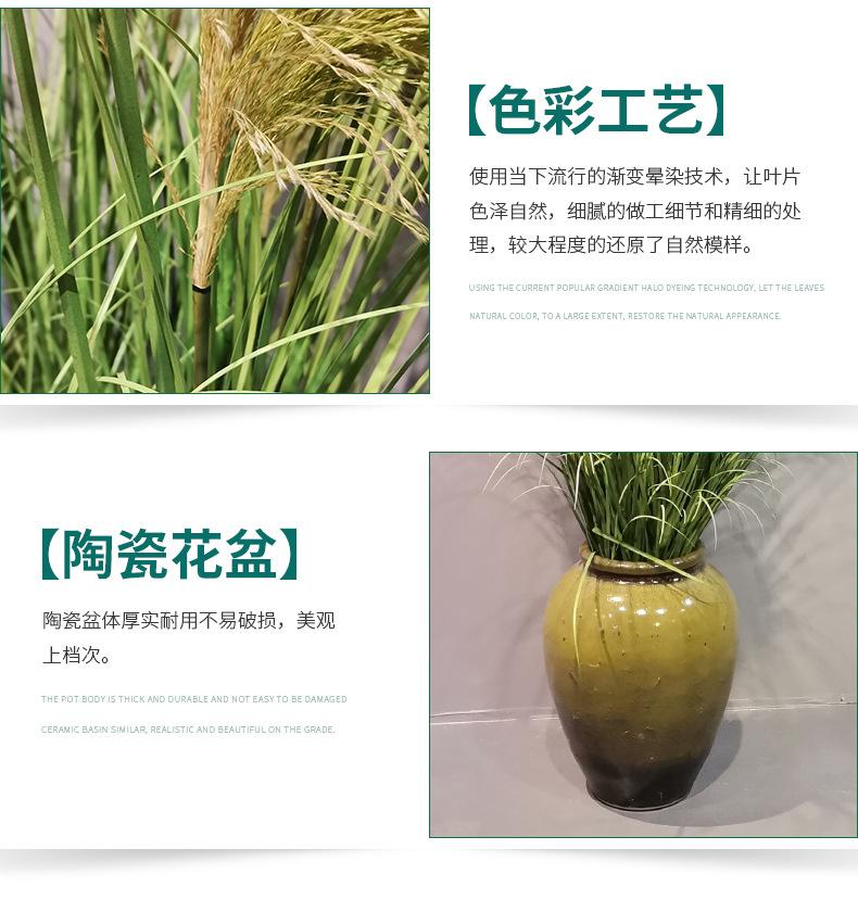 详情页-(2)_11.jpg