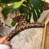 Novo Cabide Estampa Leopardo Grampo de Cabelo Sete Dentes Semi-redondo Elegante Simples Acessório de Cabeça Presilha Tiburón para Mulheres