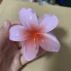 Pinza para el Cabello de Flor de Huevo 2025 para Cabello Semirecogido en la Parte Trasera de la Cabeza, Pinza de Tiburón de Tamaño Mediano, Pinza para el Cabello Grande