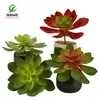 Simulación planta suculenta súper grande tamaño pequeño suculenta bonsái planta verde flor de plástico en maceta micro paisaje con pared vegetal