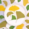 Hojas de ginkgo amarillas y verdes, flores prensadas, flores secas, hojas reales, especímenes de plantas, materiales didácticos, manualidades DIY para niños y arte con pegatinas
