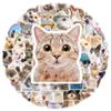 50 adesivos de papelaria com expressões de gatinhos fofos, adesivos para skate, adesivos para copo, atacado